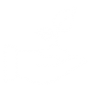 Ecologique